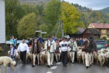 Fot. Anna i Józef Czajka