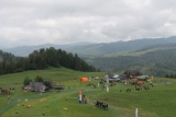 Fot. Agnieszka Stopka