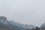 Fot. Agnieszka Stopka