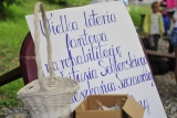 Fot. Magdalena Wojtarowicz