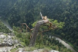 Fot. Marek Majerczak