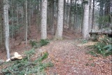 Fot. Czytelnik
