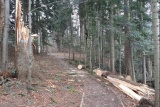 Fot. Czytelnik