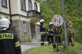 Fot. Magda Wojtarowicz