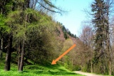 Fot. Arch. Autora
