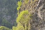 Fot. Czytelnik, GOPR