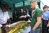 Fot. Magda Wojtarowicz