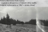 Fot. 